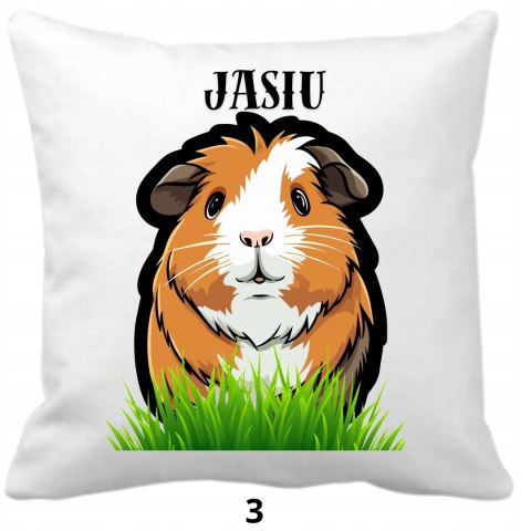 PODUSZKA DLA DZIECKA Z GRAFIKĄ IMIENIEM RÓŻNE WZORY 40x40